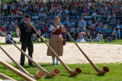 Schwinget-Wädenswil-07
